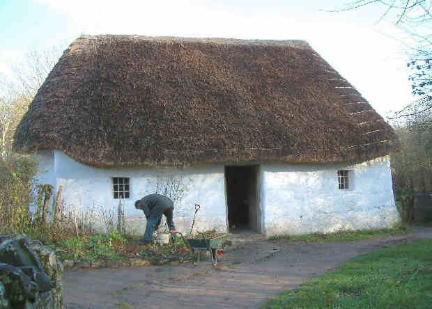 Nant Wallter Cottage
