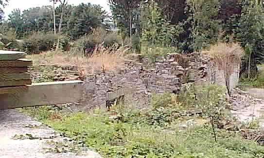 Llanthomas Hall ruins