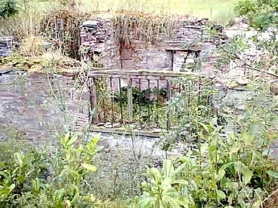 Llanthomas Hall ruins
